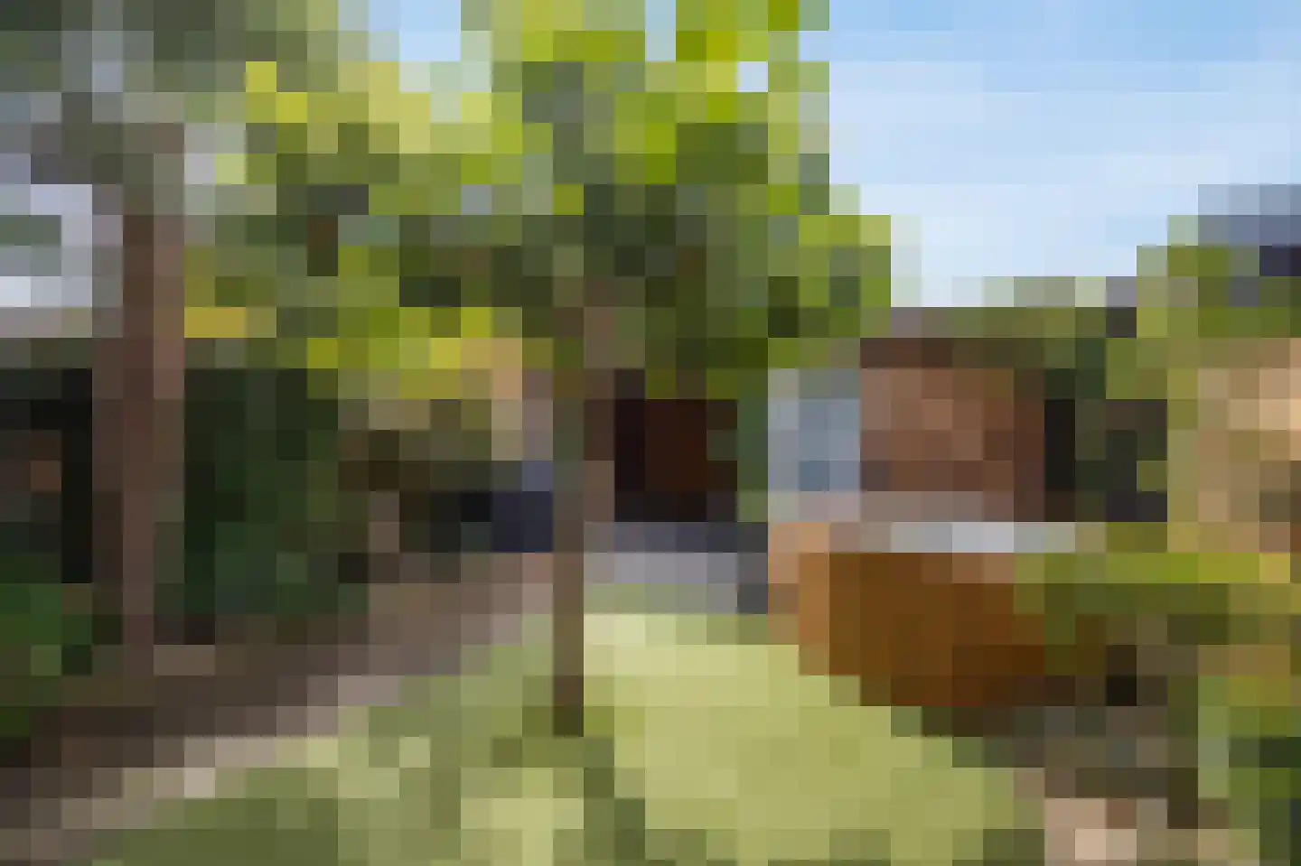 Wevershof 28 Prinsenbeek thumbnail 41