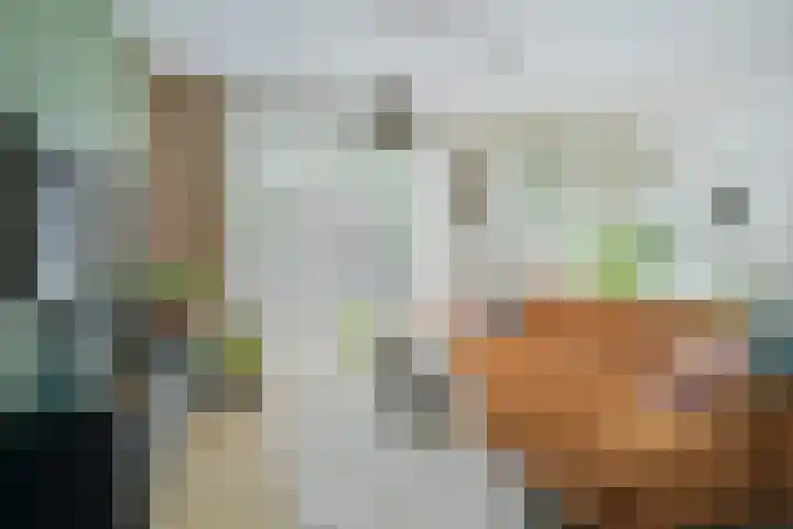 Wevershof 3 Prinsenbeek thumbnail 12