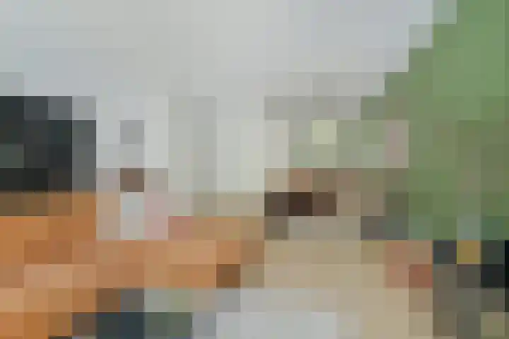 Wevershof 3 Prinsenbeek thumbnail 13
