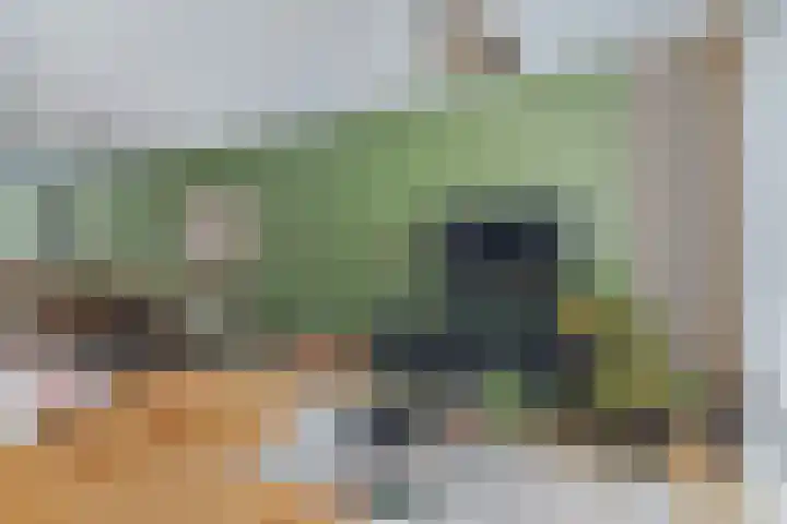 Wevershof 3 Prinsenbeek thumbnail 16