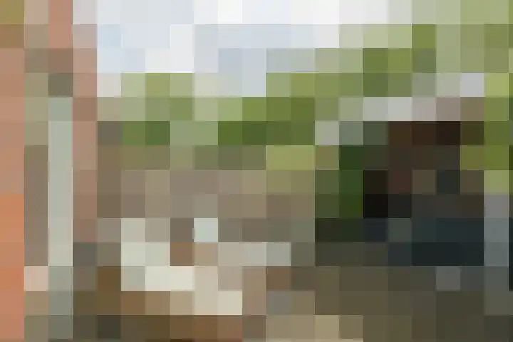 Wevershof 3 Prinsenbeek thumbnail 25