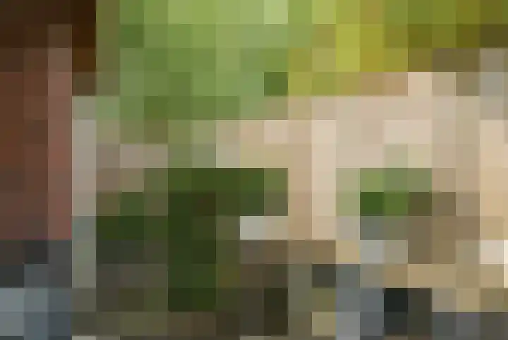 Wevershof 3 Prinsenbeek thumbnail 27