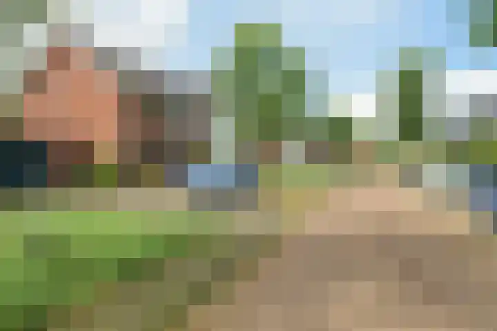 Wevershof 3 Prinsenbeek thumbnail 47