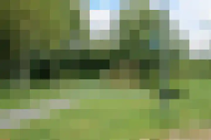 Wevershof 3 Prinsenbeek thumbnail 48