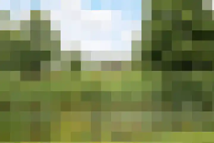 Wevershof 3 Prinsenbeek thumbnail 49