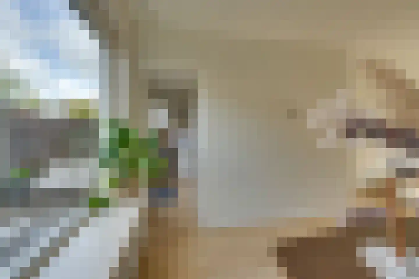 Wevershof 7 De Rijp thumbnail 13