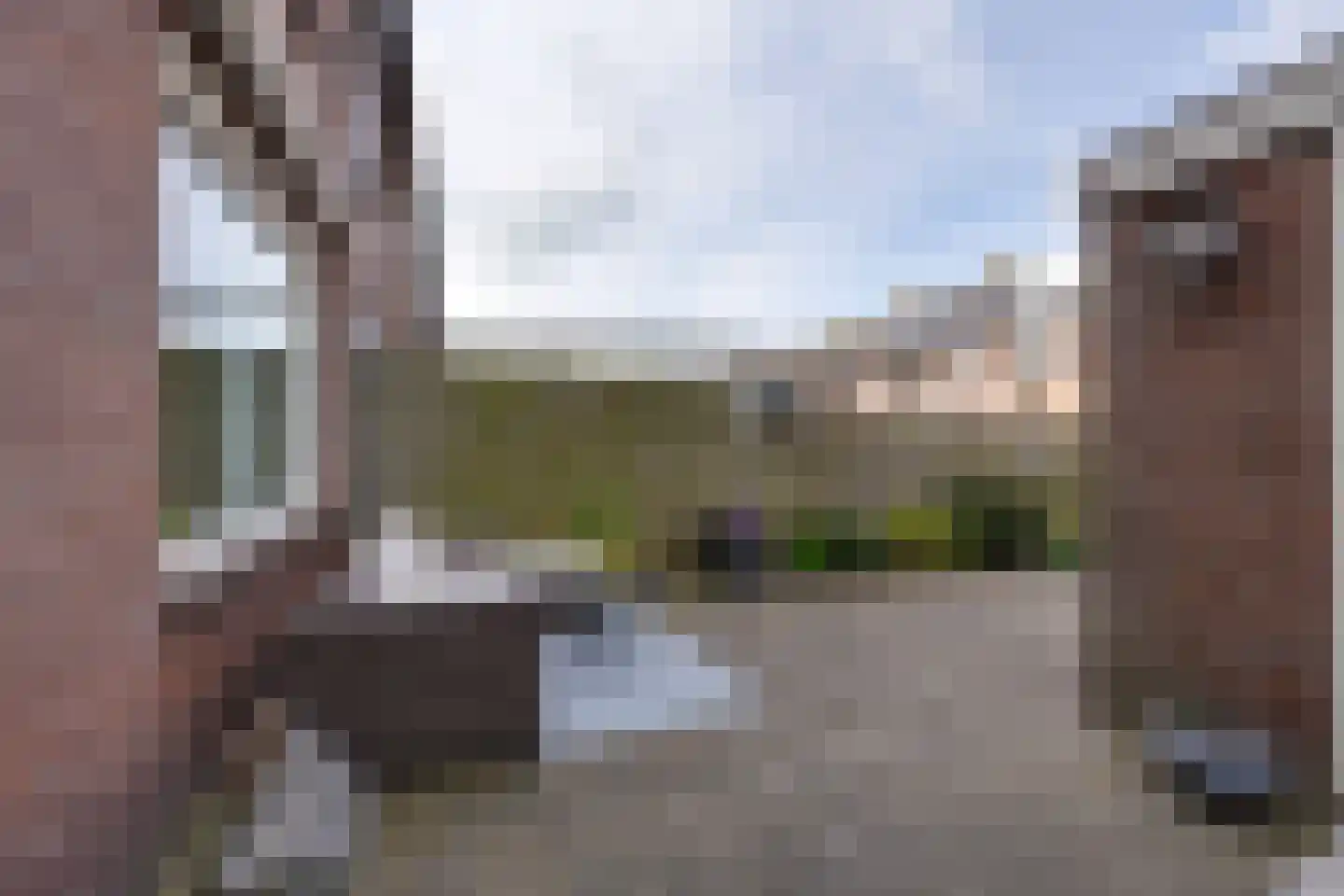 Wevershof 7 De Rijp thumbnail 18