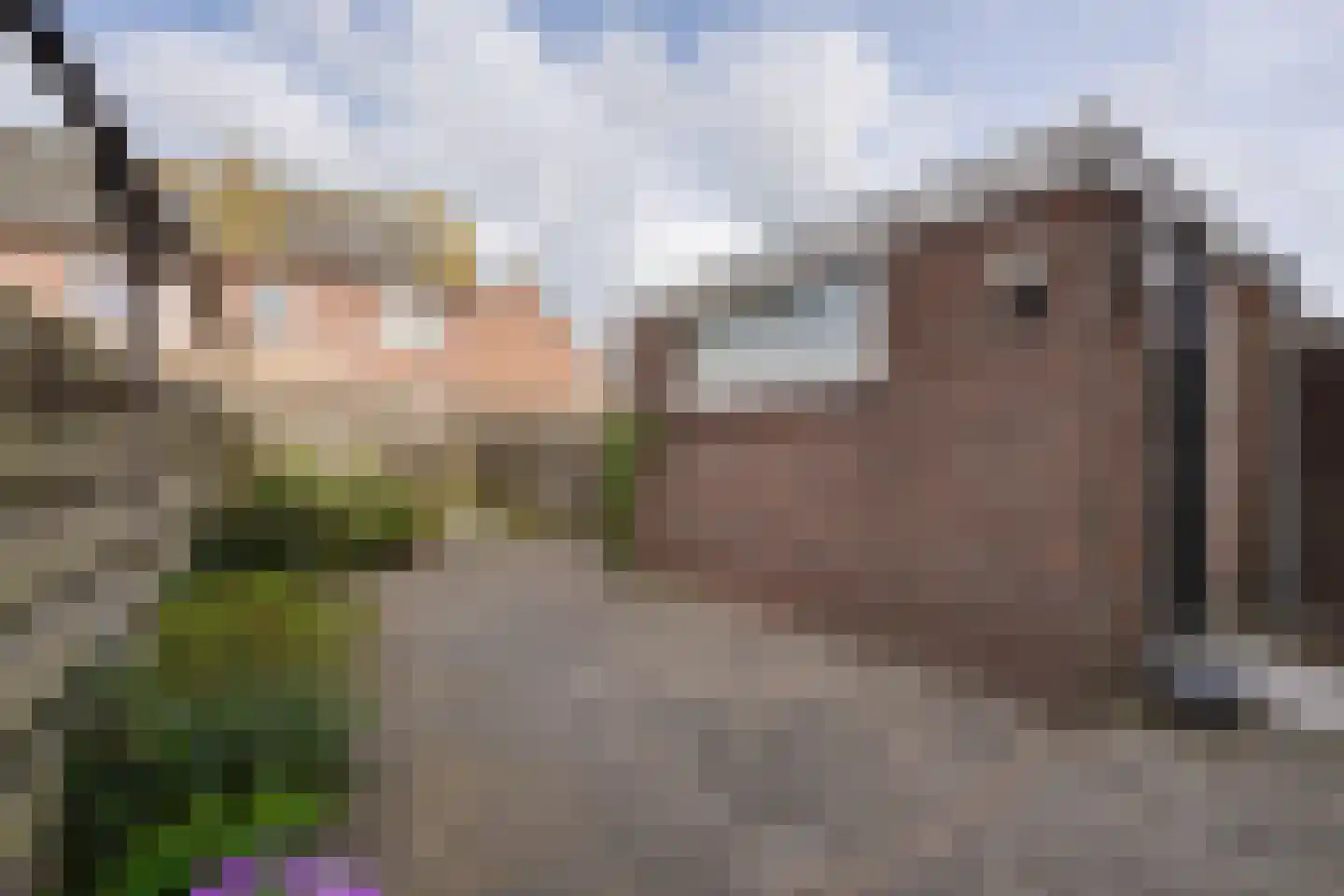 Wevershof 7 De Rijp thumbnail 20