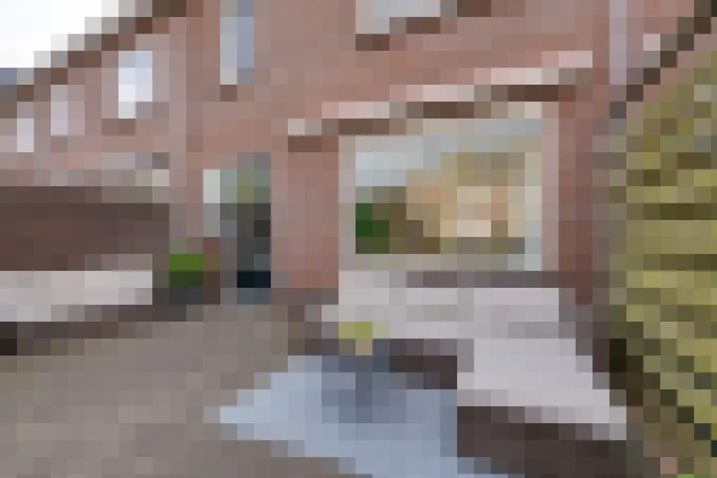 Wevershof 7 De Rijp thumbnail 23