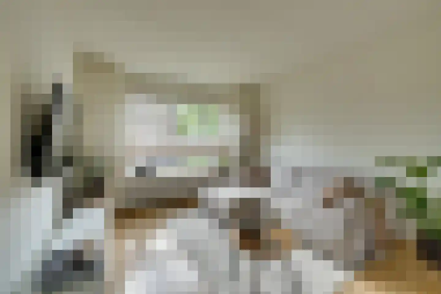 Wevershof 7 De Rijp thumbnail 4
