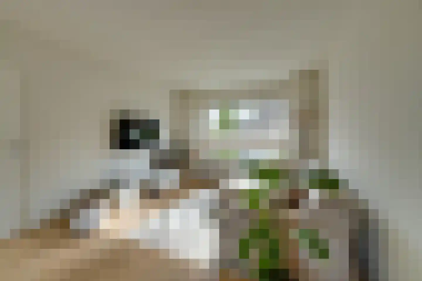 Wevershof 7 De Rijp thumbnail 5