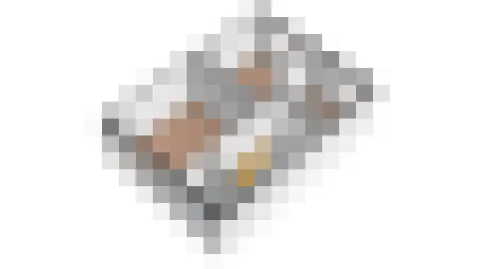 Wevershof 7 De Rijp thumbnail 51