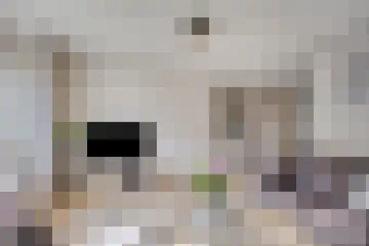 Weverskamp 14 Swalmen thumbnail 12