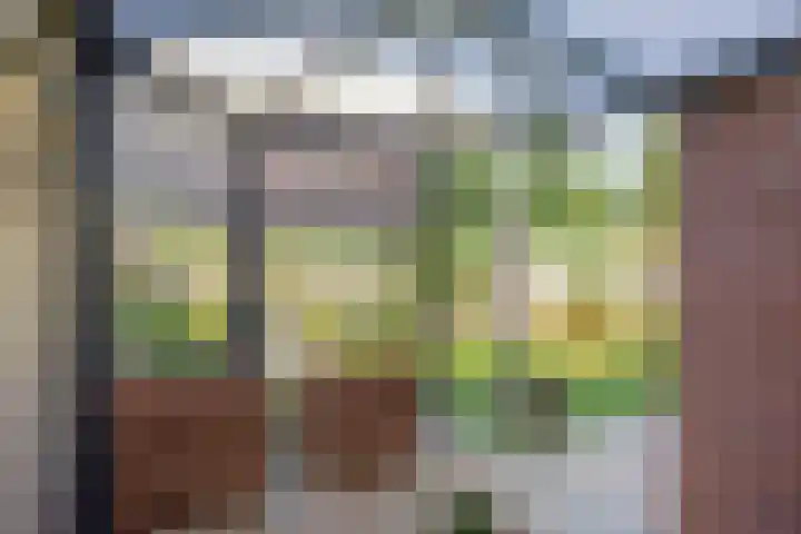 Weverskamp 14 Swalmen thumbnail 31