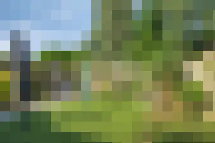 Weverskamp 14 Swalmen thumbnail 33