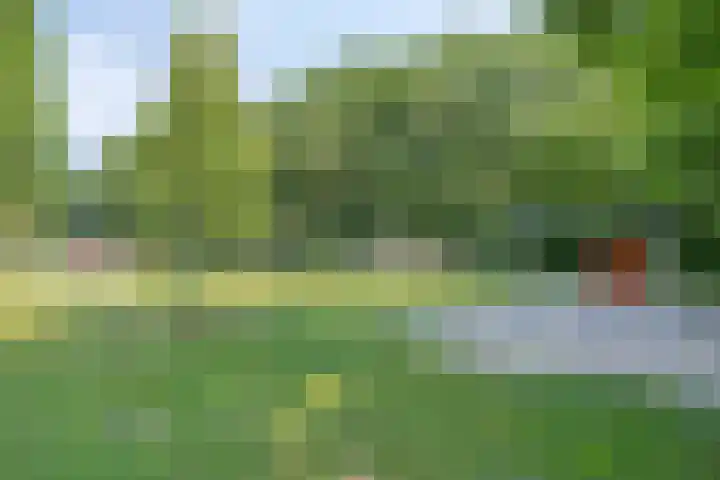 Weverskamp 14 Swalmen thumbnail 40