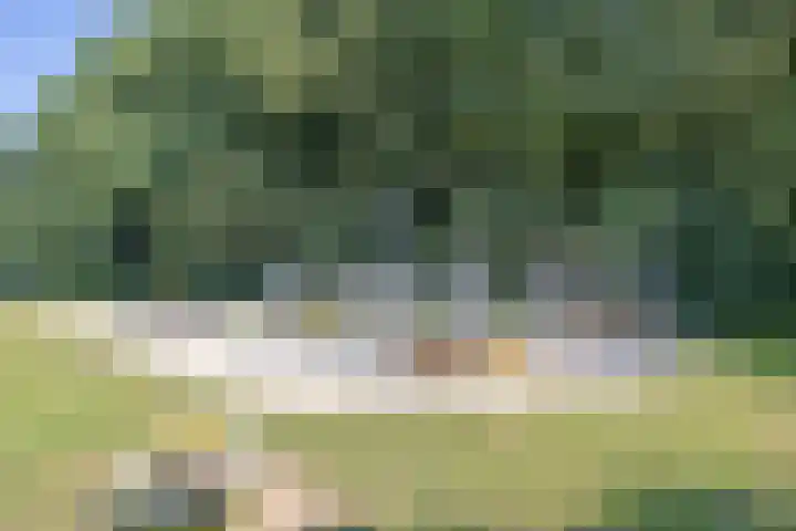 Weverskamp 14 Swalmen thumbnail 41