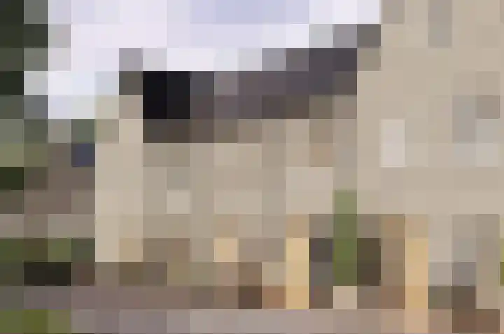 Weverskamp 4 Culemborg