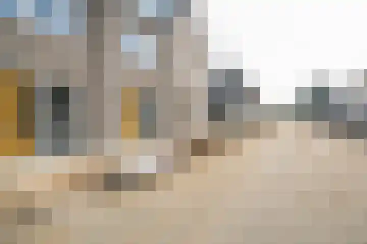 Weverskamp 4 Culemborg thumbnail 33