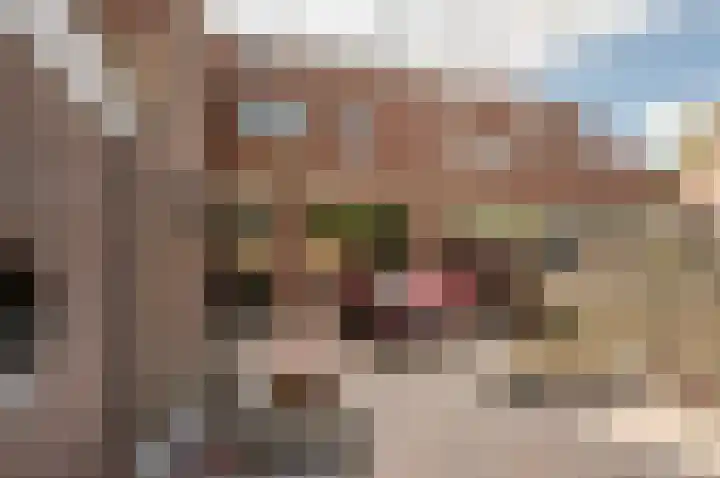 Weverskamp 5 Harderwijk thumbnail 25