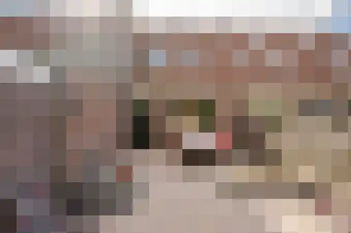 Weverskamp 5 Harderwijk thumbnail 26