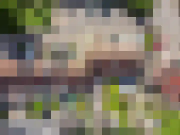 Weverskamp 5 Harderwijk thumbnail 30