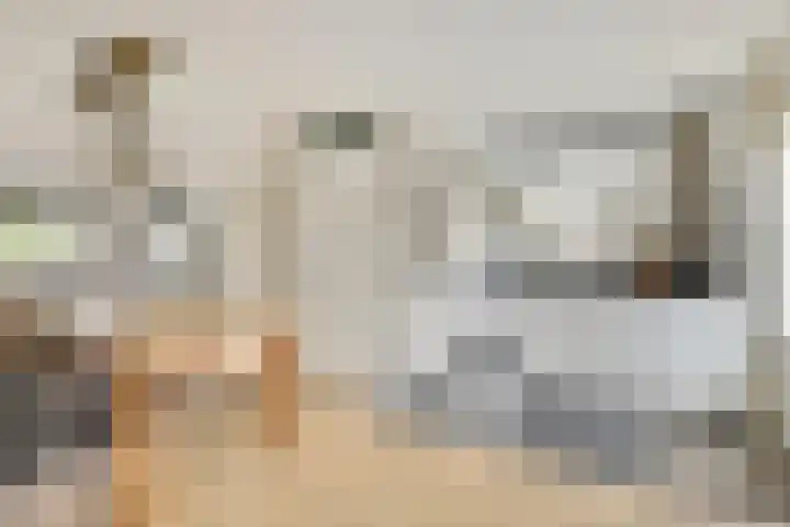 Weverskamp 5 Swalmen thumbnail 15