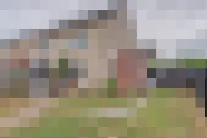 Weverskamp 5 Swalmen thumbnail 30