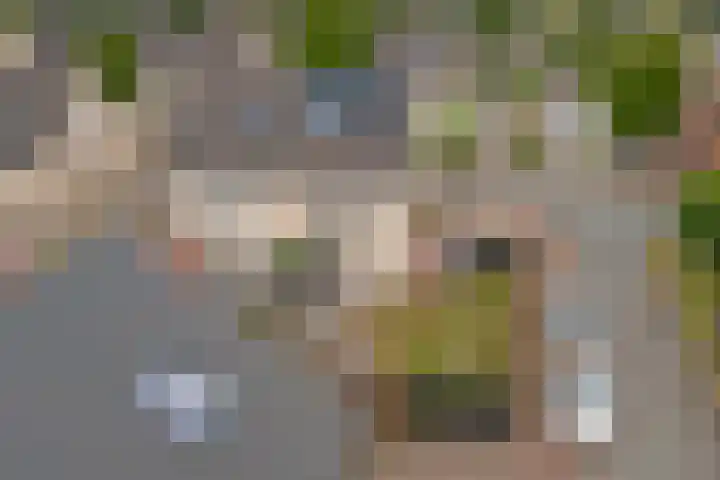 Weverskamp 5 Swalmen thumbnail 38
