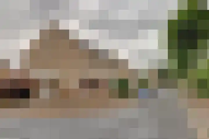 Weverskamp 5 Swalmen thumbnail 9