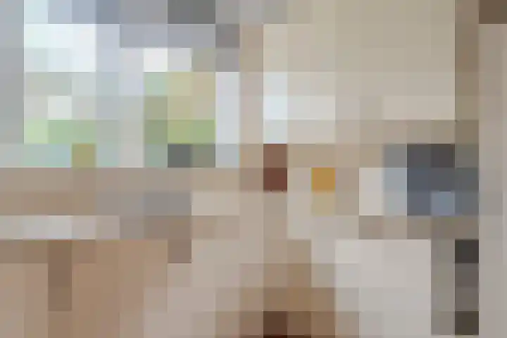 Weverskamp 57 Harderwijk thumbnail 18