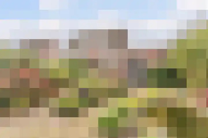 Weverskamp 57 Harderwijk thumbnail 45