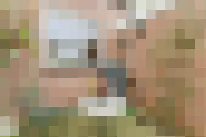Weverskamp 57 Harderwijk thumbnail 47