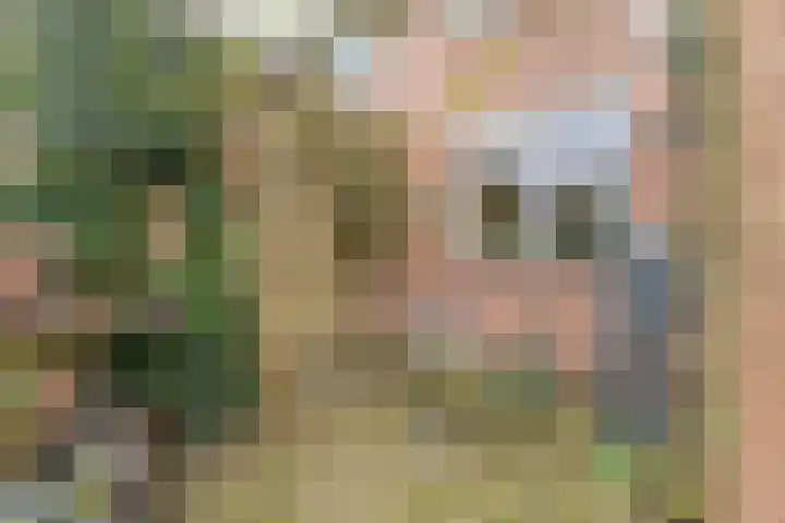 Weverskamp 57 Harderwijk thumbnail 48