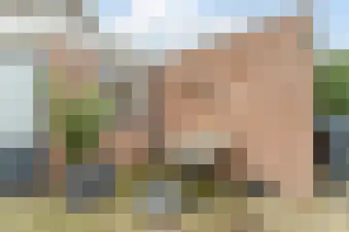 Weverskamp 57 Harderwijk thumbnail 49