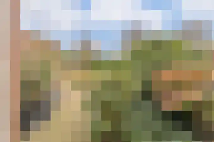 Weverskamp 57 Harderwijk thumbnail 50