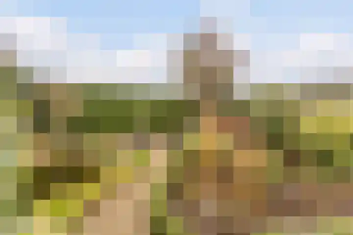 Weverskamp 57 Harderwijk thumbnail 51