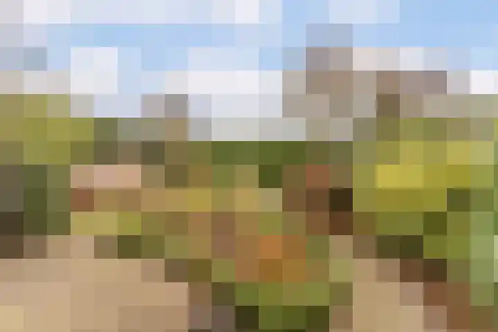 Weverskamp 57 Harderwijk thumbnail 52