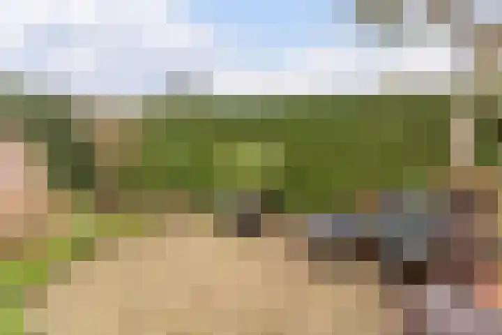 Weverskamp 57 Harderwijk thumbnail 53