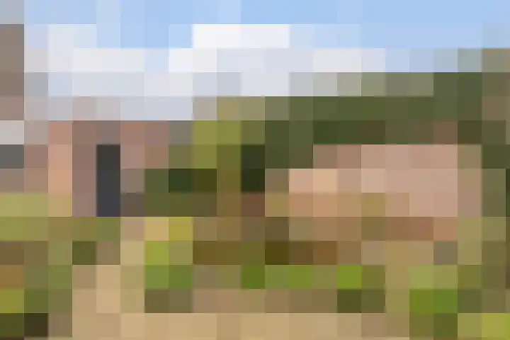 Weverskamp 57 Harderwijk thumbnail 54