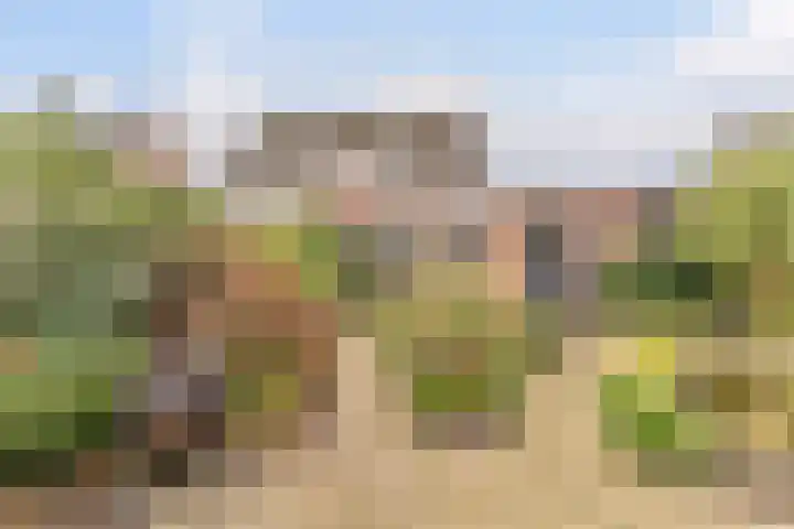 Weverskamp 57 Harderwijk thumbnail 55