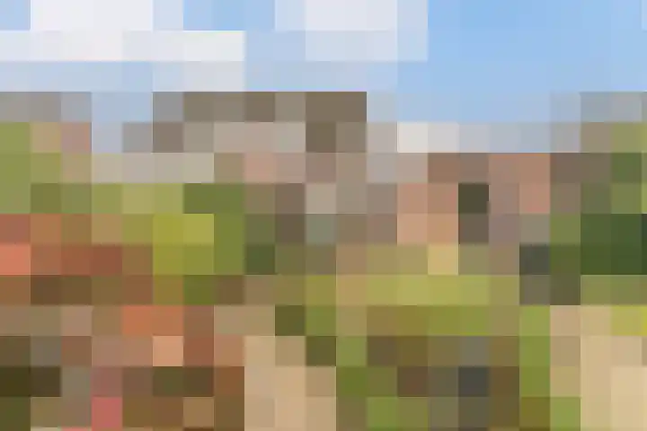 Weverskamp 57 Harderwijk thumbnail 56