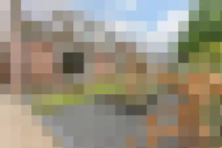 Weverskamp 57 Harderwijk thumbnail 58