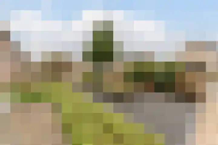 Weverskamp 57 Harderwijk thumbnail 59