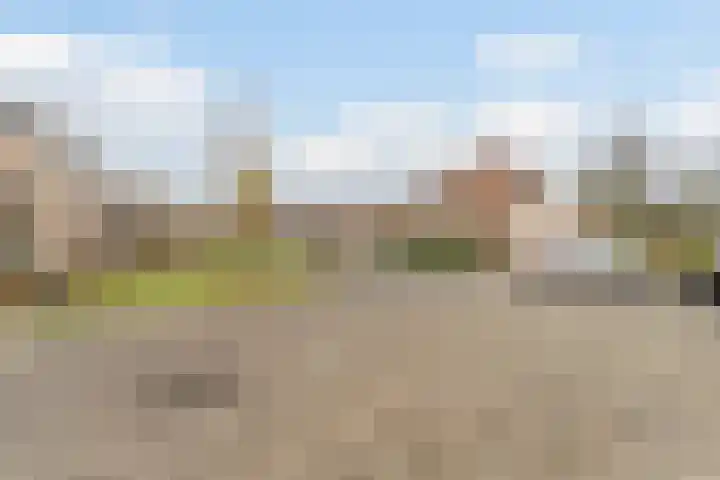 Weverskamp 57 Harderwijk thumbnail 61