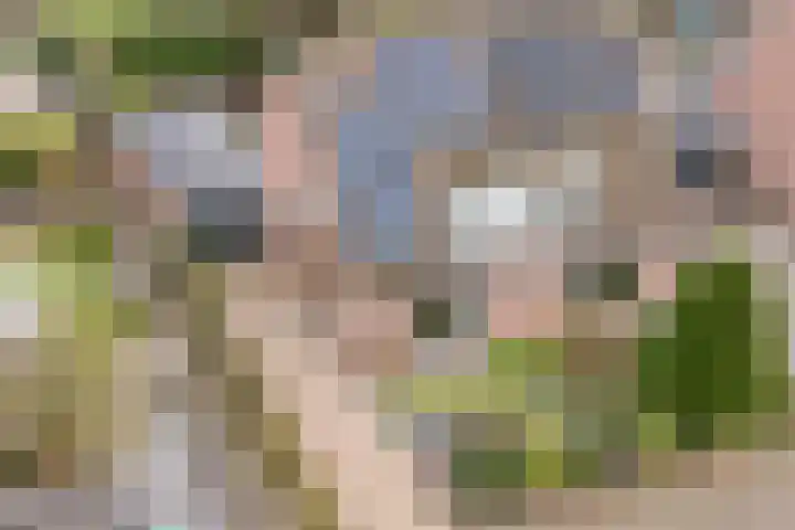 Weverskamp 57 Harderwijk thumbnail 62