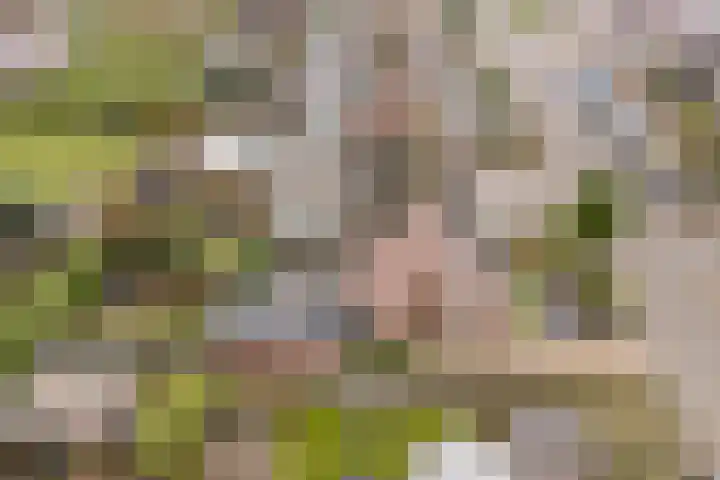 Weverskamp 57 Harderwijk thumbnail 63