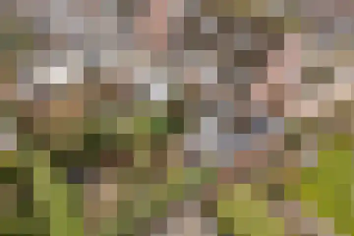 Weverskamp 57 Harderwijk thumbnail 64