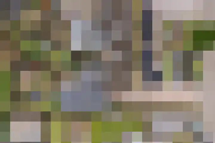 Weverskamp 57 Harderwijk thumbnail 66