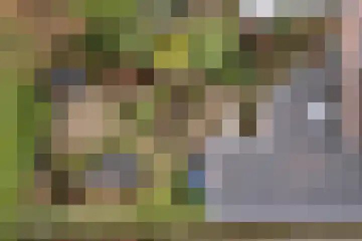 Weverskamp 57 Harderwijk thumbnail 67